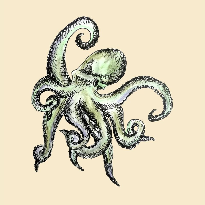 oktopus