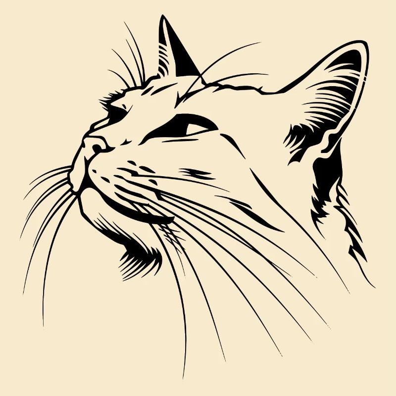 Chat, Motif De Chat, Visage De Chat