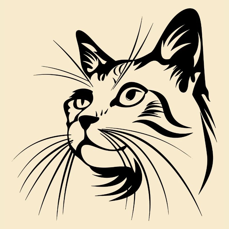 Chat, Motif De Chat, Visage De Chat