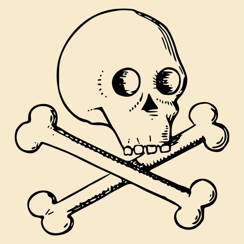 Skull and bones