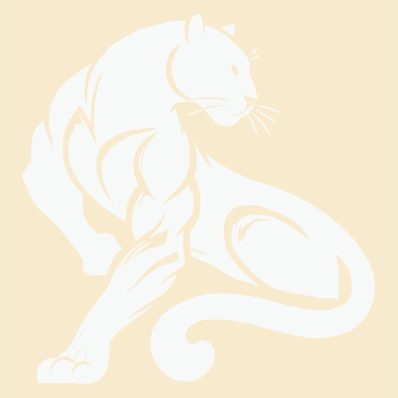 Panther Leopard