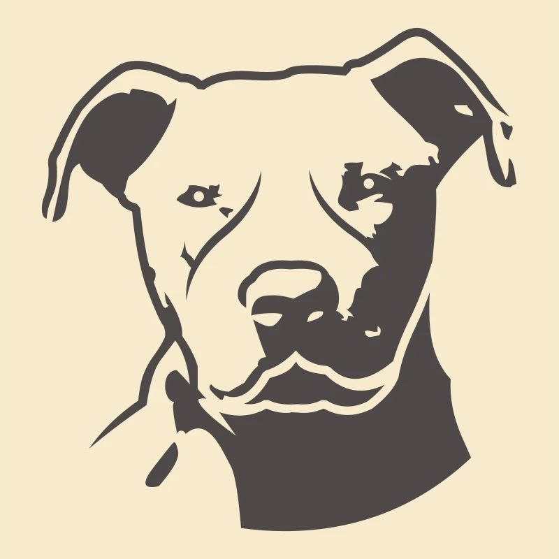 pitbull_head_front