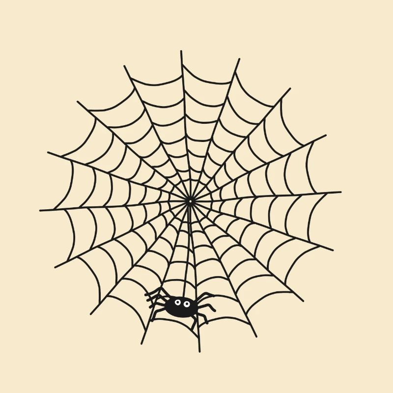 Spider web with spider on the thread