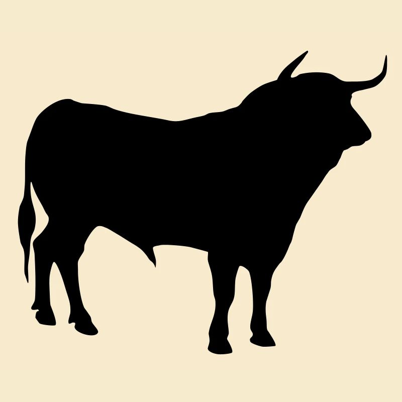 toro 2