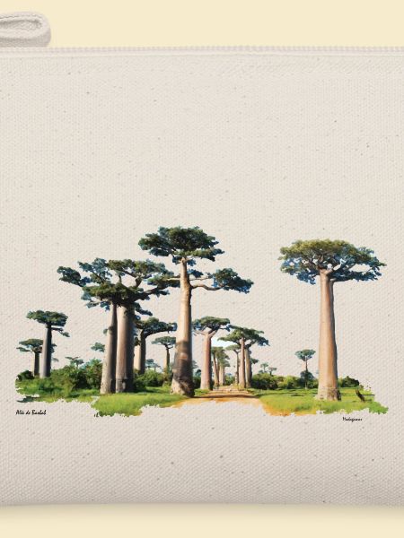 Baobab