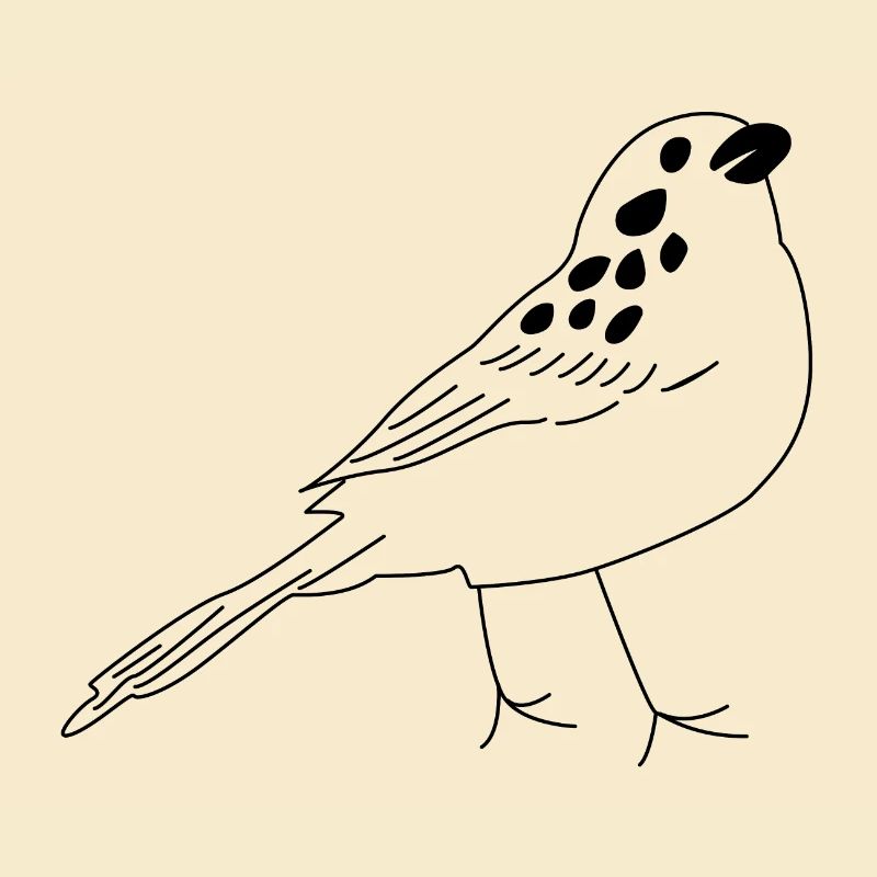 Vogel