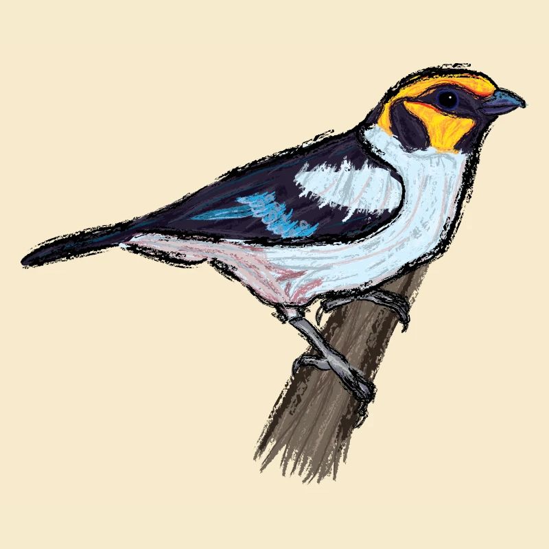 Rotstirntangar/ Flame-Faced Tanager Design I