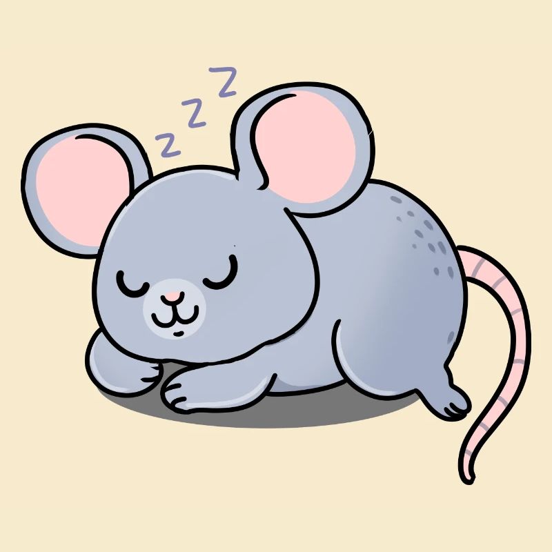 Mouse asleep
