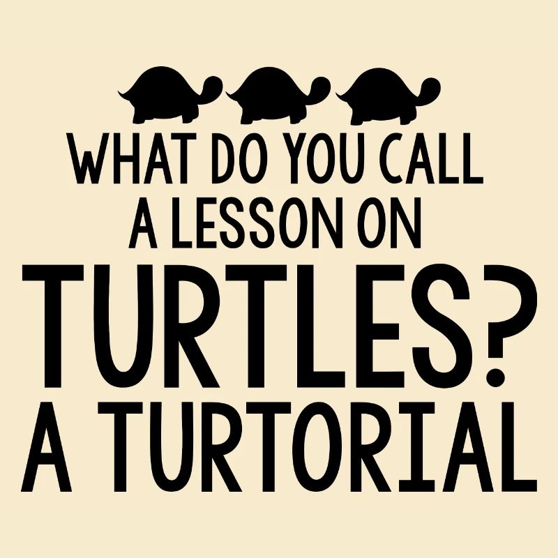 What Do You Call A Lesson On Turtles, A Turtorial4