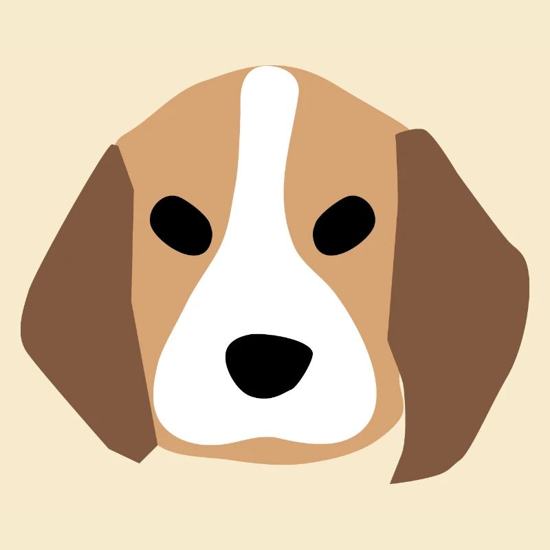 Beagle Welpengesicht 1