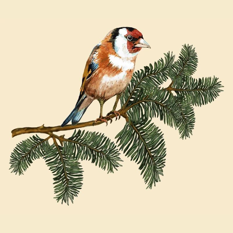 Bunter Vogel
