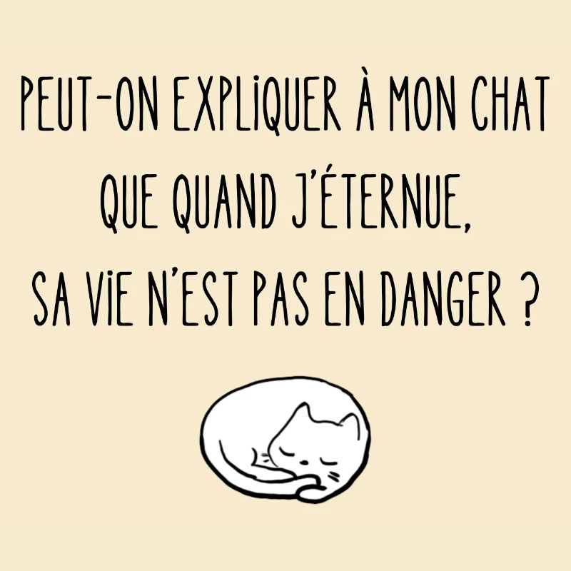 peut-on expliquer à mon chat