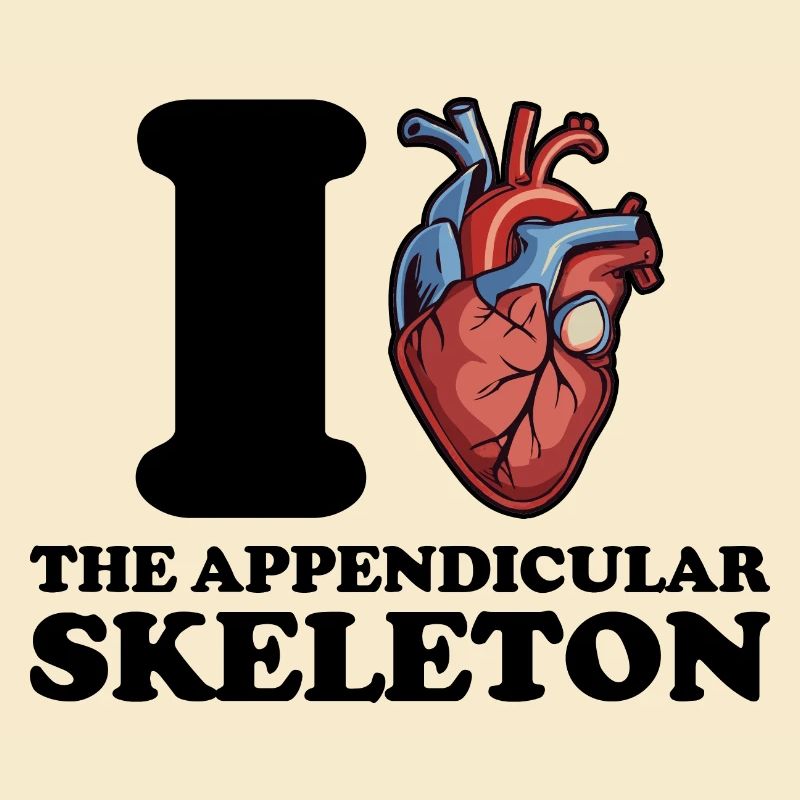 J’adore le squelette de l’appendice