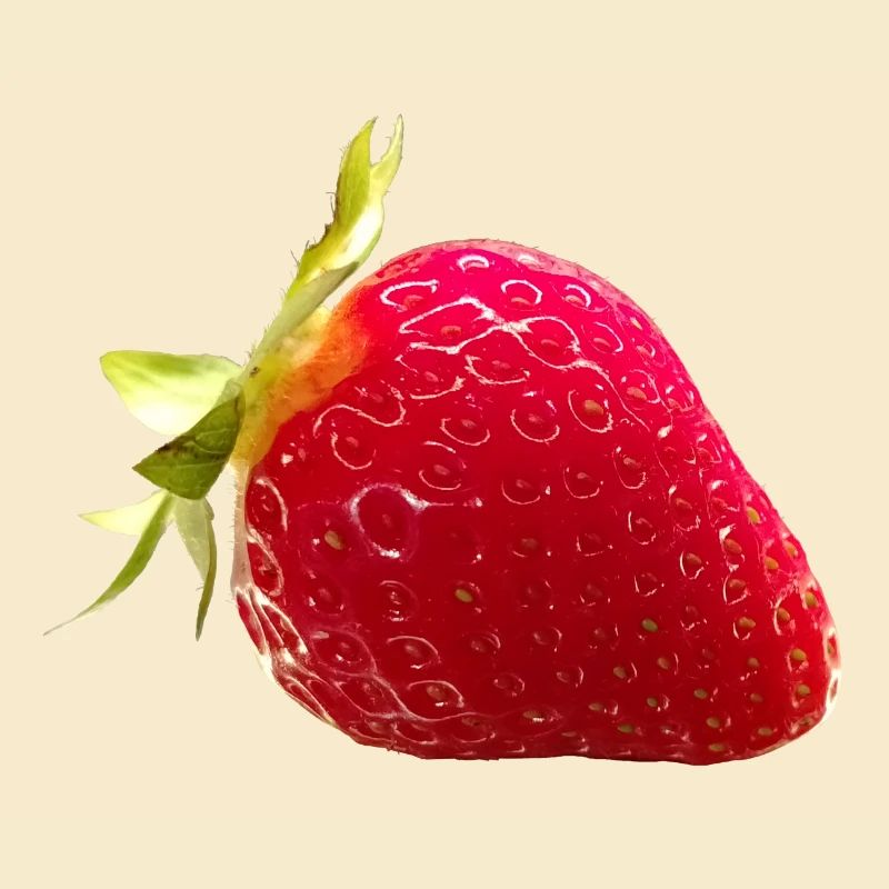 ERDBEERE als FRUCHTKUNST