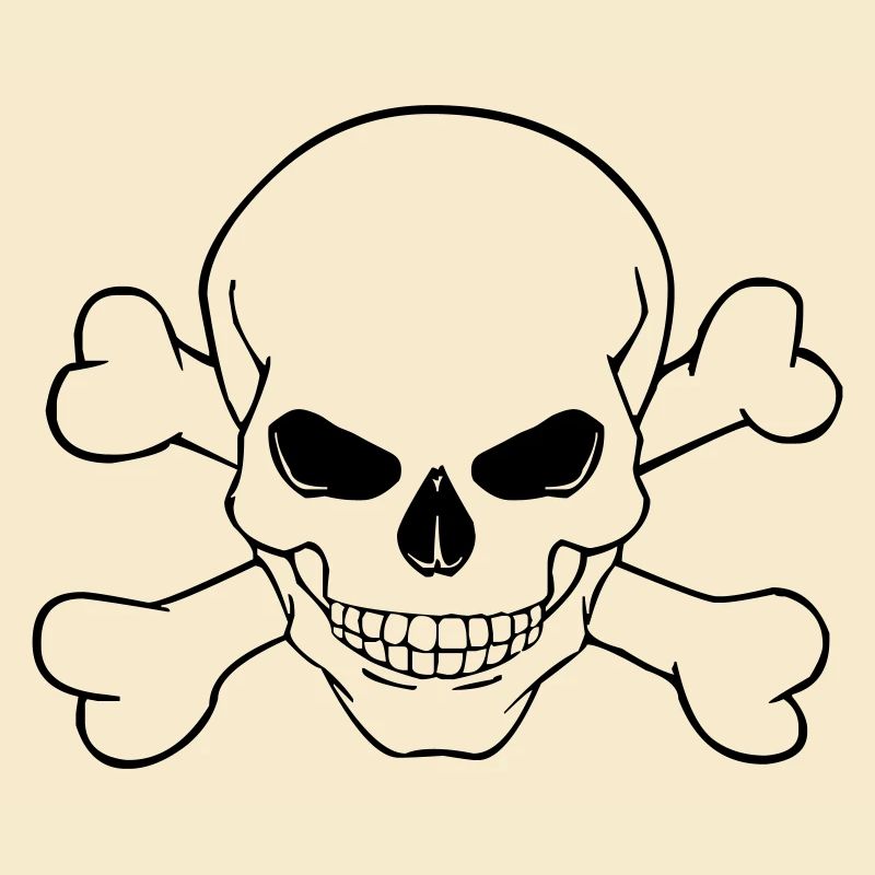 Skull