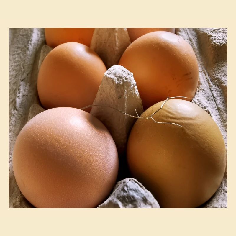 Eier