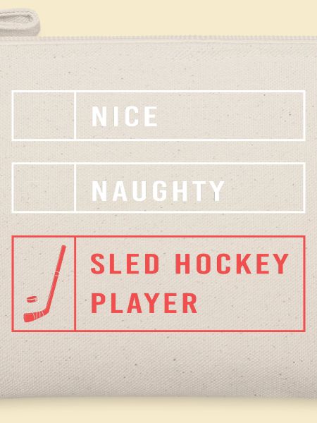 Para Handicap Eishockey
