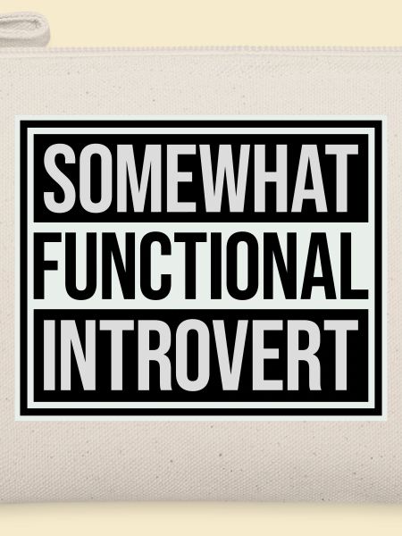 Somewhat Functional Introvert Spruch Logo Text