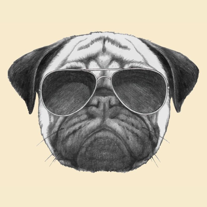 mops pug