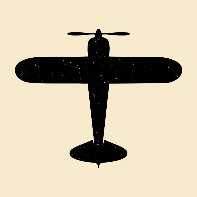 Airplane Propeller Plane Flying