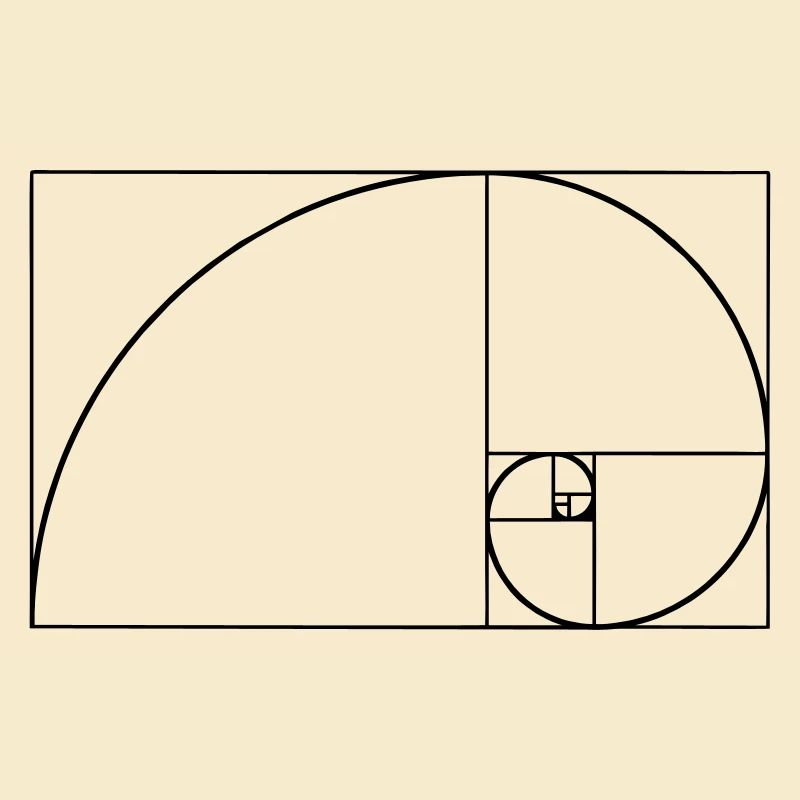 Spirale de Fibonacci, section doré, Phi, evolution