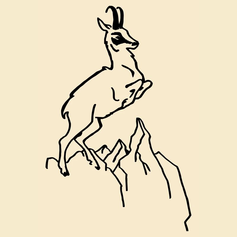 Chamois
