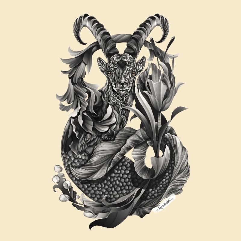 Steinbock Sternzeichen