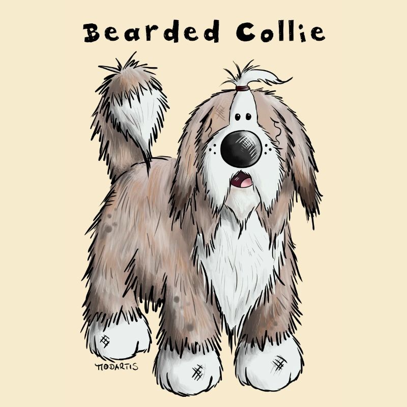 Happy Bearded Collie