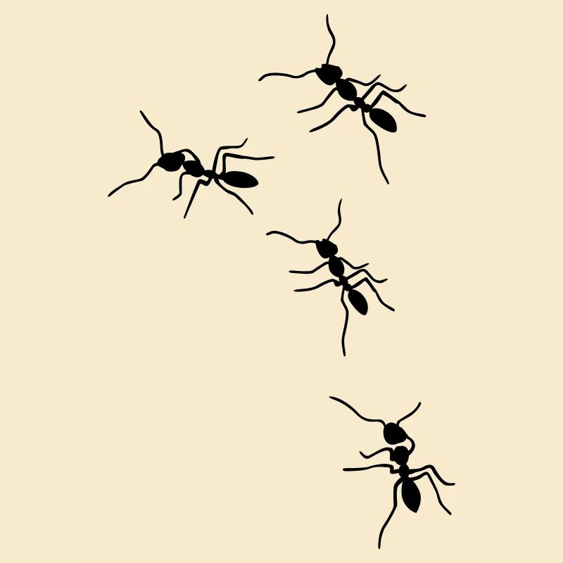 fourmis