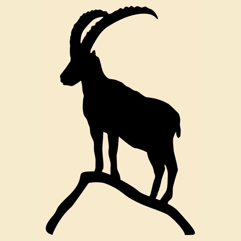 Ibex on Mountain