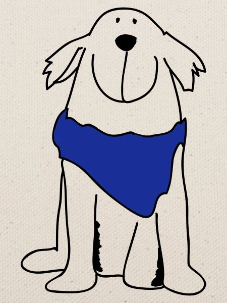 Netter Retriever