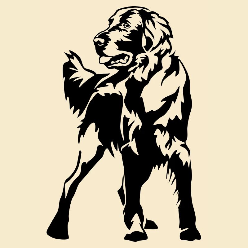 Flat-coated retriever