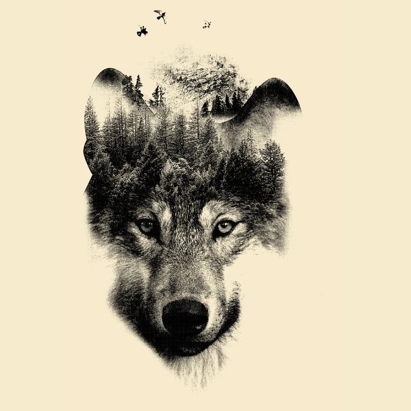 WOLF