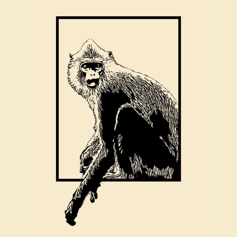 Monkey Hanuman Langure