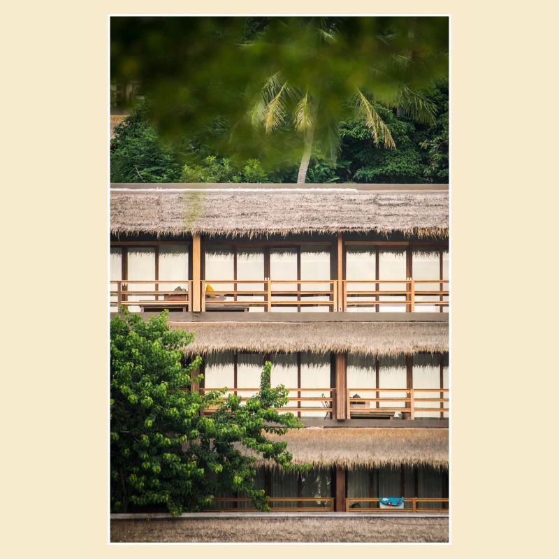 hotel under palm trees