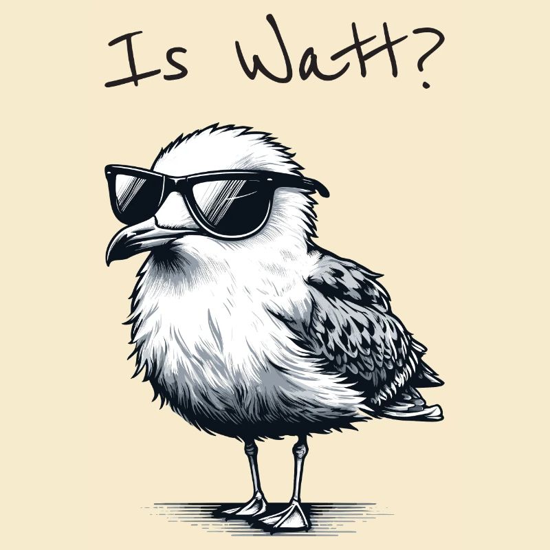 Is Watt Coole Möwe Urlaub Nordsee