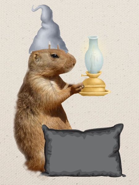 Eichhörnchen mit Lampe und Kissen