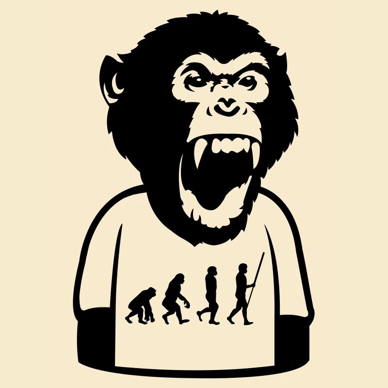 Affe Evolution