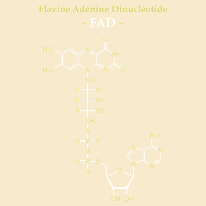 ADF Flavin-Adenin-Cofaktor