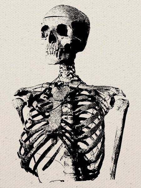 Glitch Skeleton Melt Dark Aesthetic Design
