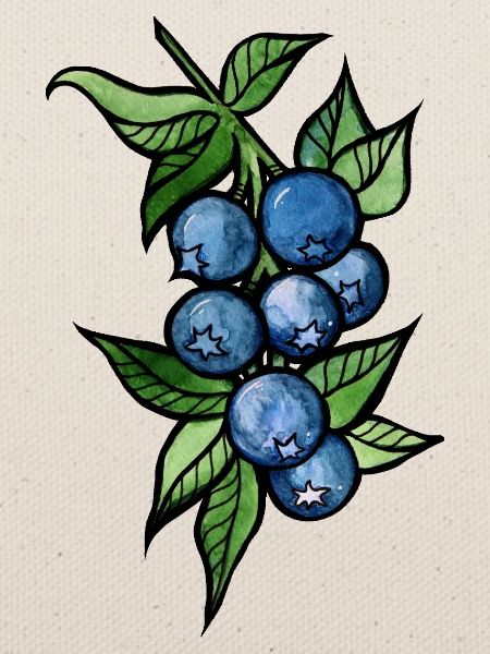 Blaubeer-Aquarellcluster