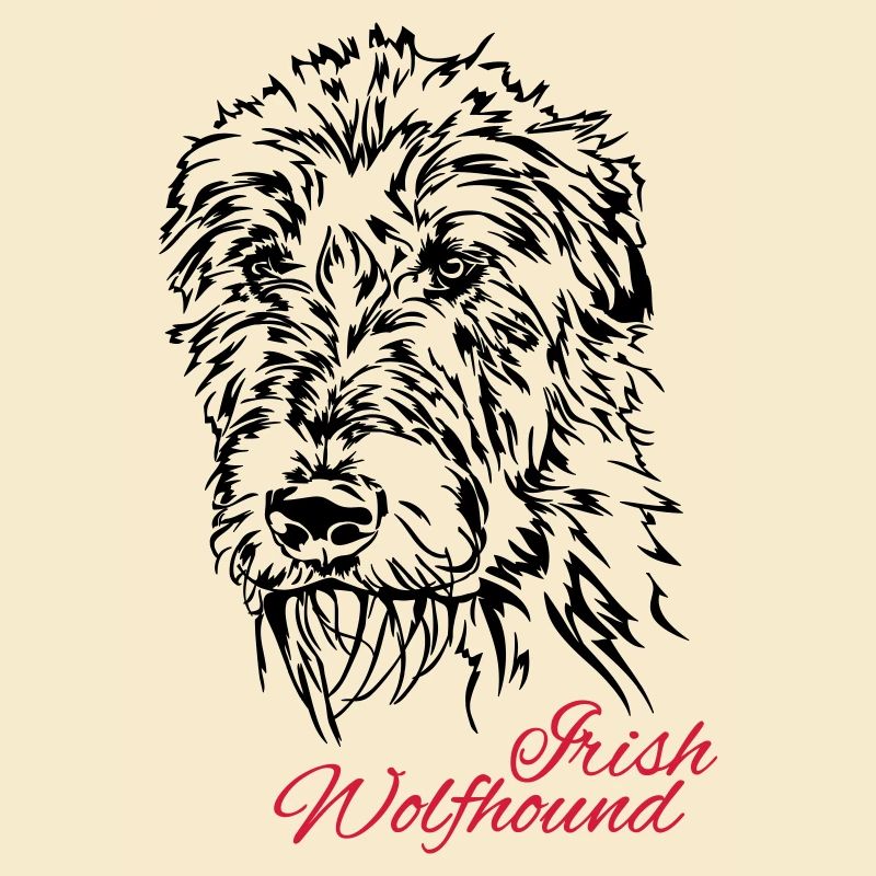 IRISH WOLFHOUND Irish Wolfhound Wilsigns chiens