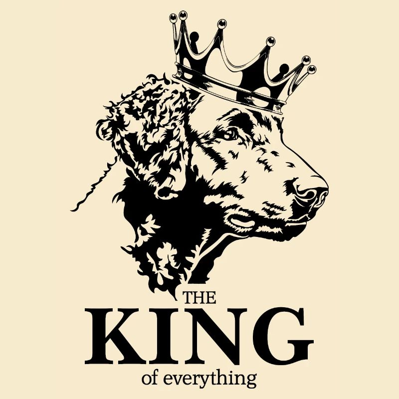 Curly Coated Retriever King everything Wilsigns