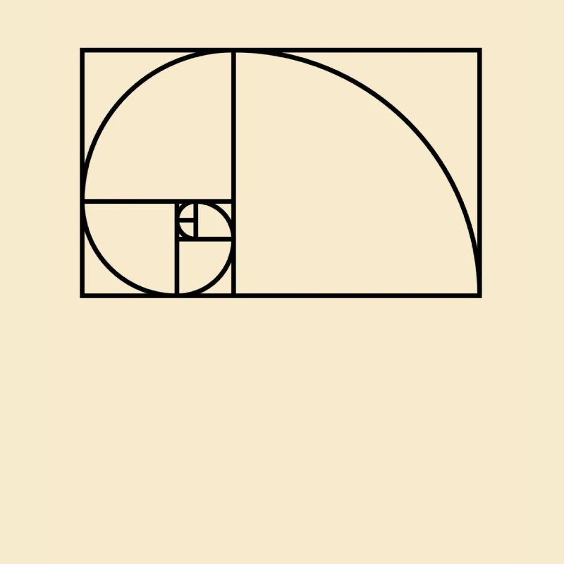 Schnecken Design Fibonacci