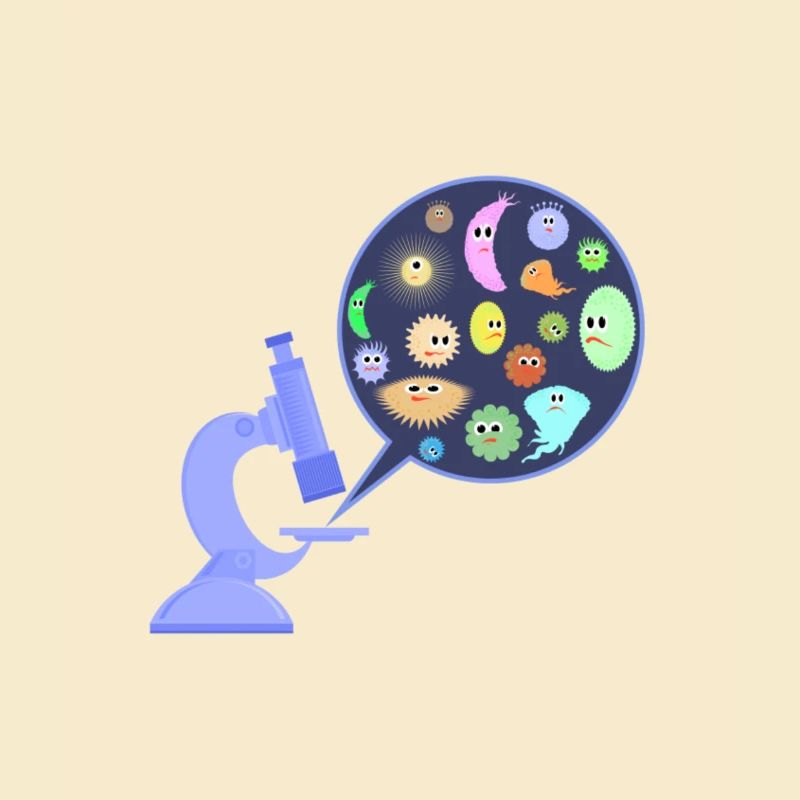 Germes au microscope