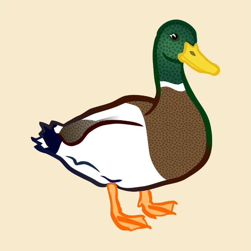 duck117