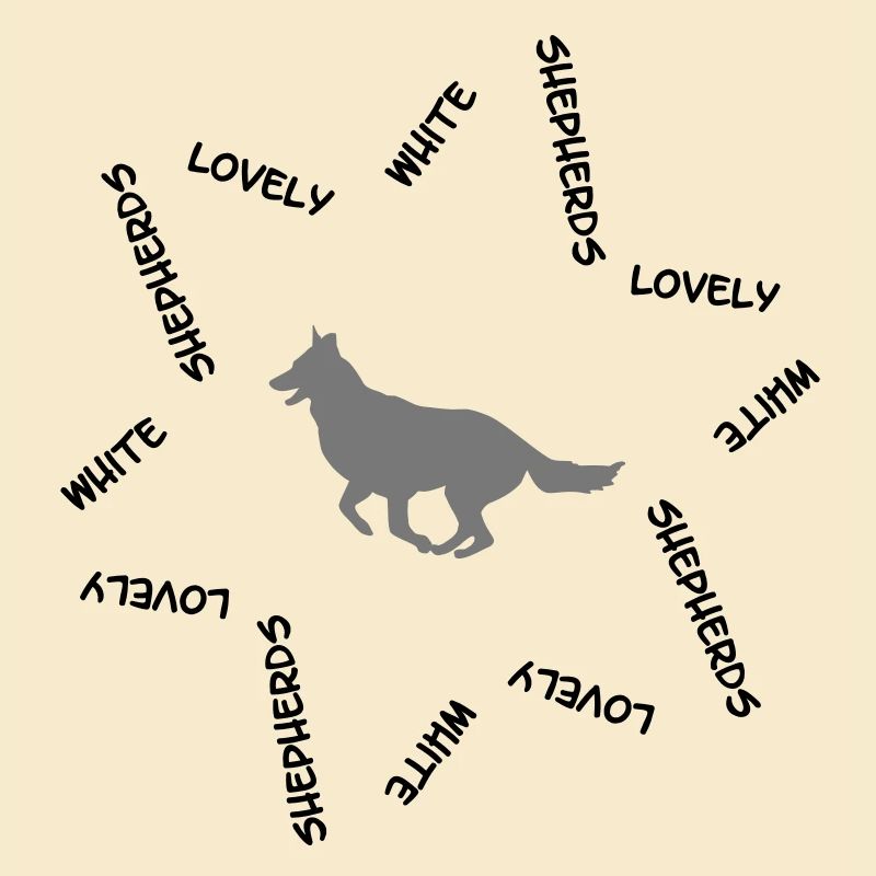 Weisser Schweizer Schäferhund cb2