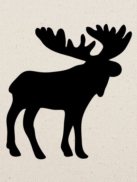 caribou