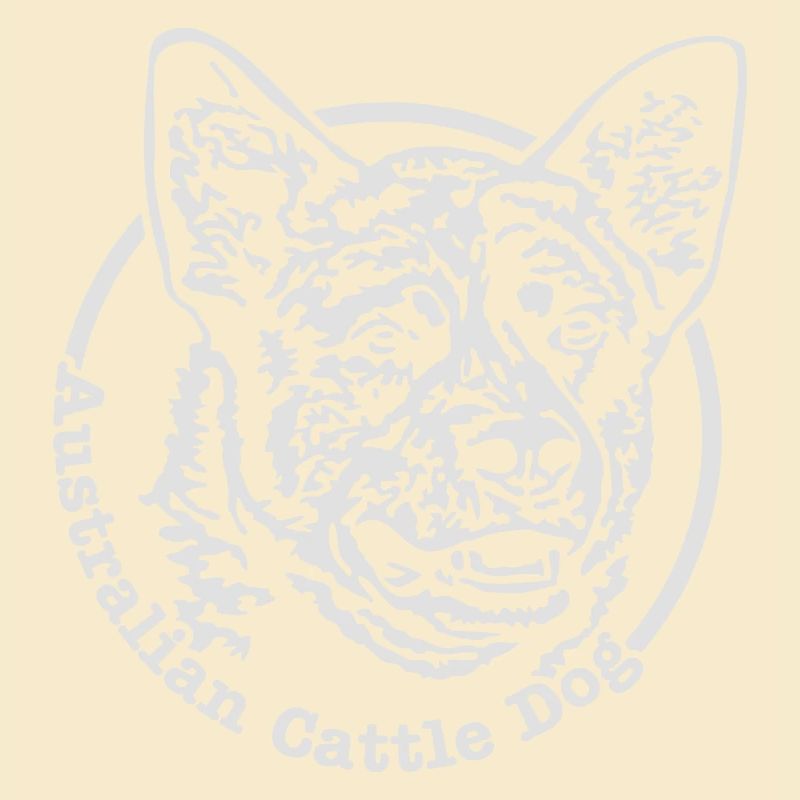 532 Australian Cattle Dog