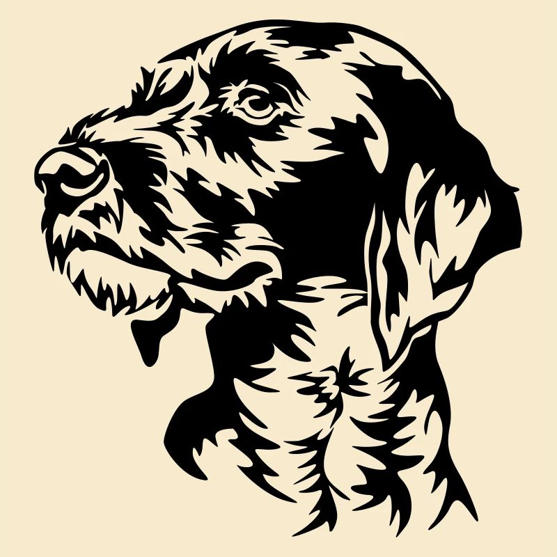 German Wirehaired Pointer head